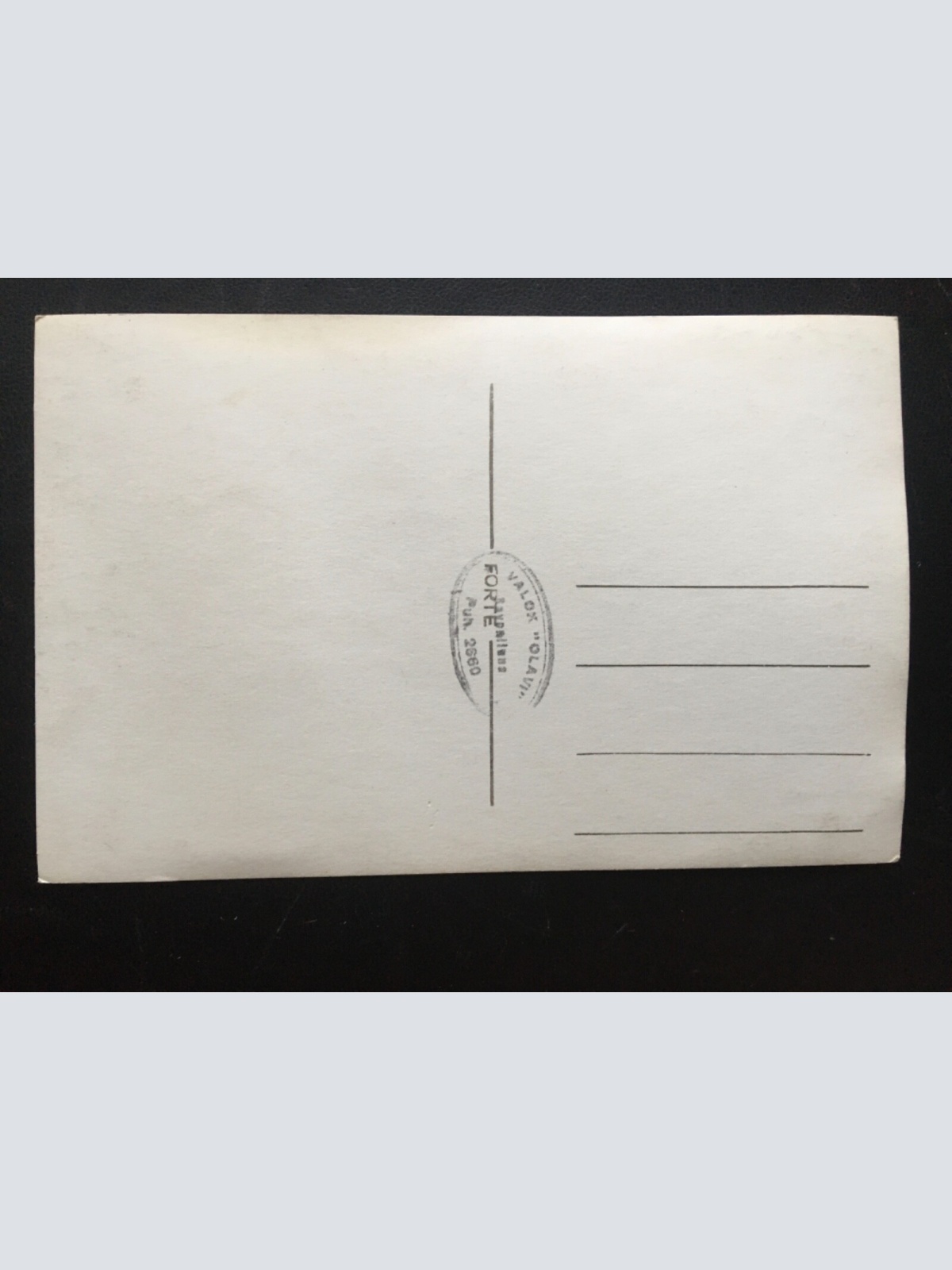 Burg - Schloss - Burgtürme Bugmauer 180118 TH G