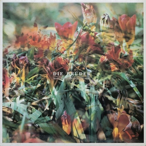 Die Brüder - Trying To Remember How To Forget (LP, Album)