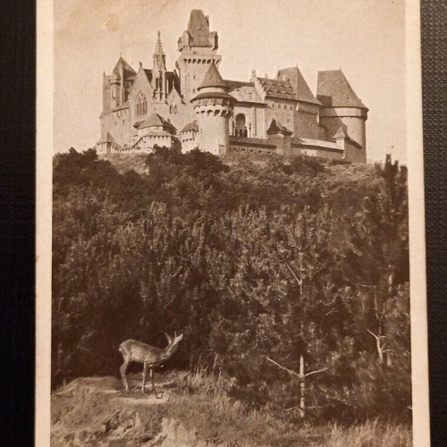 Ansichtskarte Niederösterreich Burg Kreuzenstein Südseite Ga