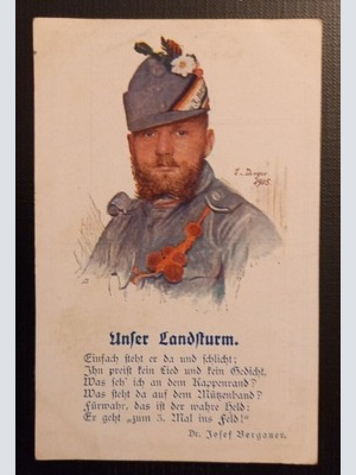 AK  Unser Landsturm Dr.Josef Bergauer Ga