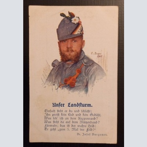 AK  Unser Landsturm Dr.Josef Bergauer Ga