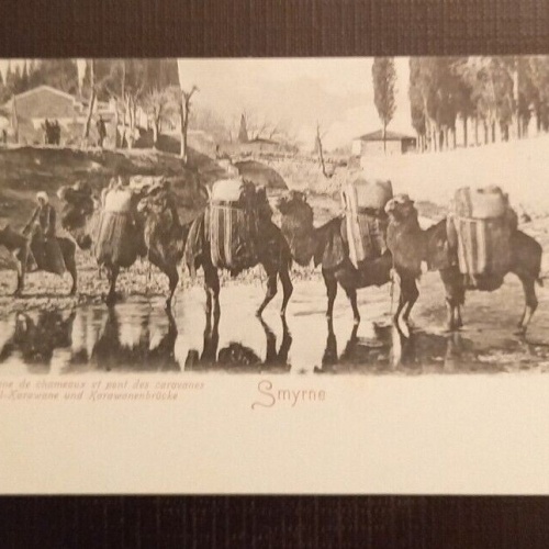 AK  Türkei Smyrne Kameel Karawane 650233 Ga E