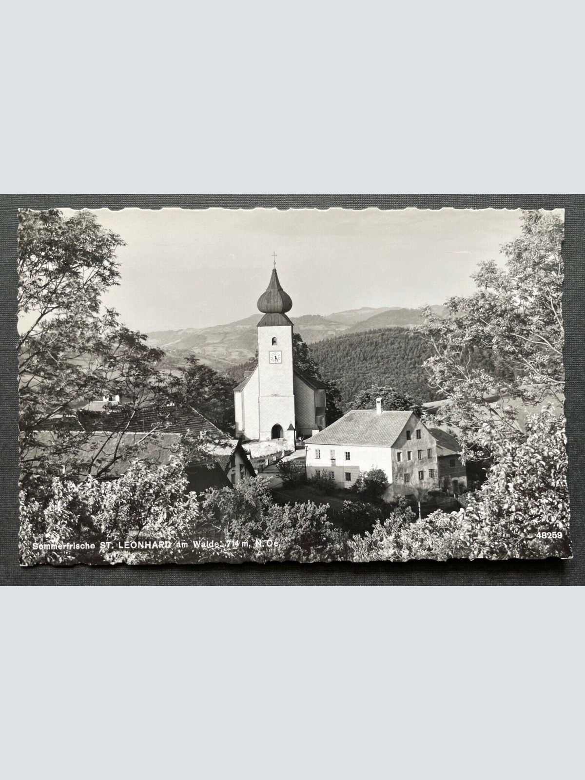 Sommerfrische St.Leonhard am Walde Kirche Berg Wald Niederösterreich 402679 TH C