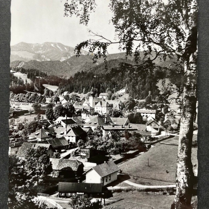 Sommerfrische St.Aegyd am Neuwalde Göller Ortschaft Niederösterreich 402678 TH C