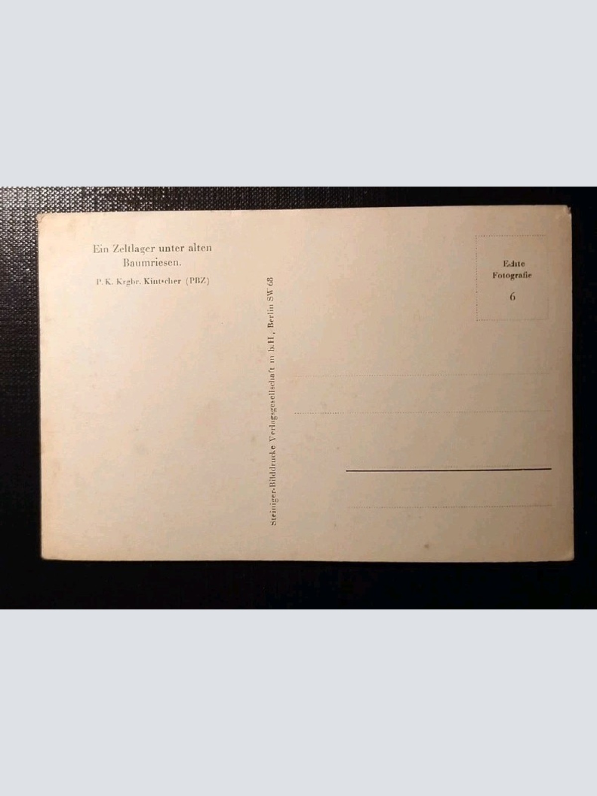 Zeltlager Unter Alten Baumriesen 402447 H Gr