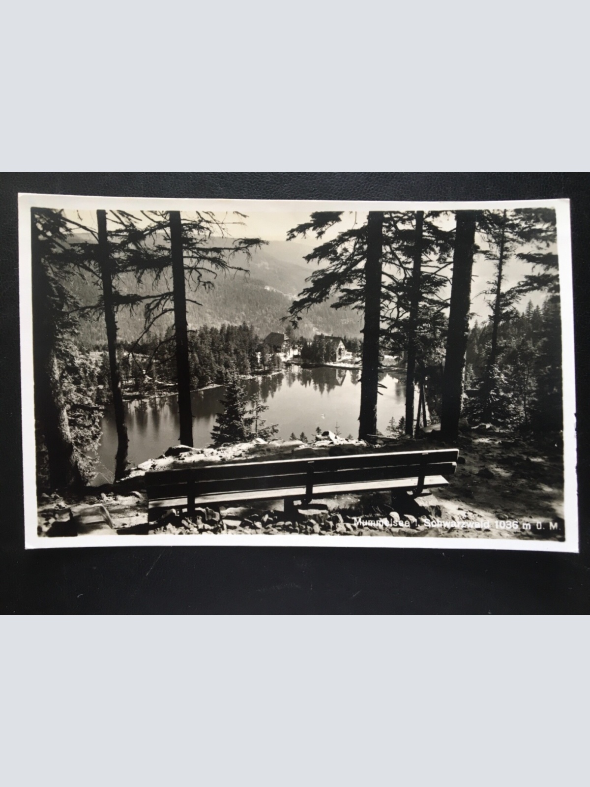 Mummelsee im Schwarzwald - Bank - Blick auf See 180170 TH G