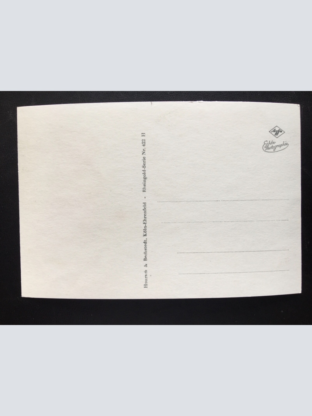 Kurhotel Petersberg im Siebengebirge - Königswinter - Wald 180177 TH A