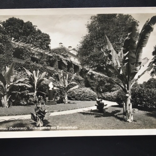 Insel Mainau - Bodensee - Musengarten mit Bananenhain - Park 180179 TH