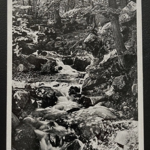 Luftkurort Stecklenberg Harz Am Wurmbach Sachsen-Anhalt Deutschland 600133A TH D