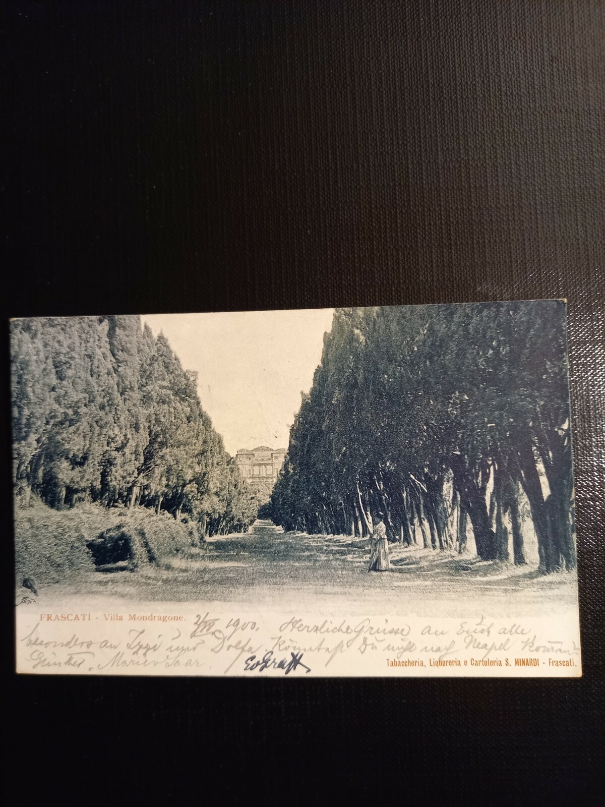 Frascati 400441 gr D