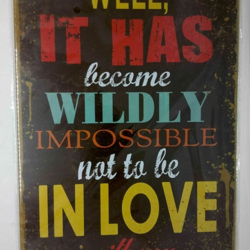 Nostalgie Retro Blechschild Spruch Liebe love 30x20 50185