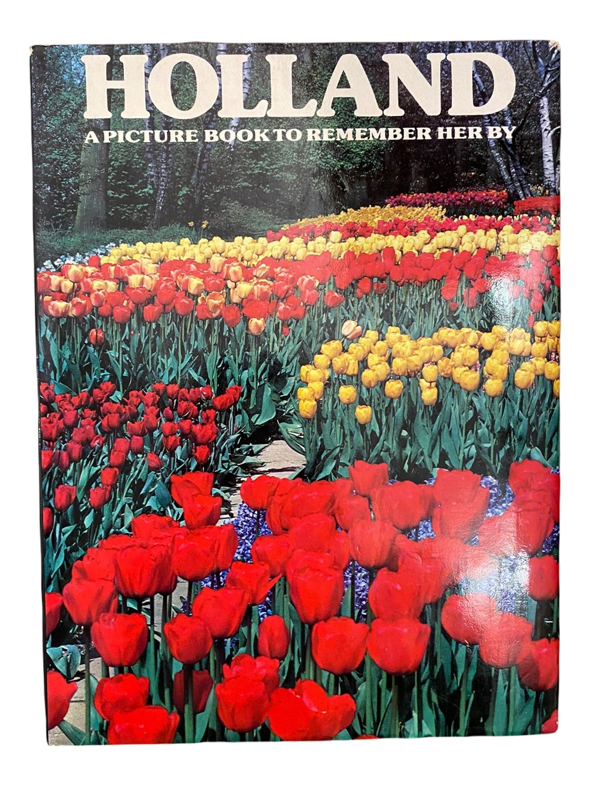 1165 David Gibbon HOLLAND - A PICTURE BOOK TO REMEMBER HER BY HC