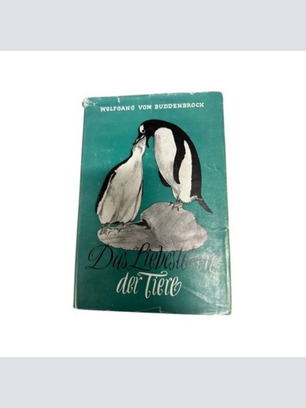 1921 Wolfgang Buddenbrock, von DAS LIEBESLEBEN DER TIERE HC +Abb