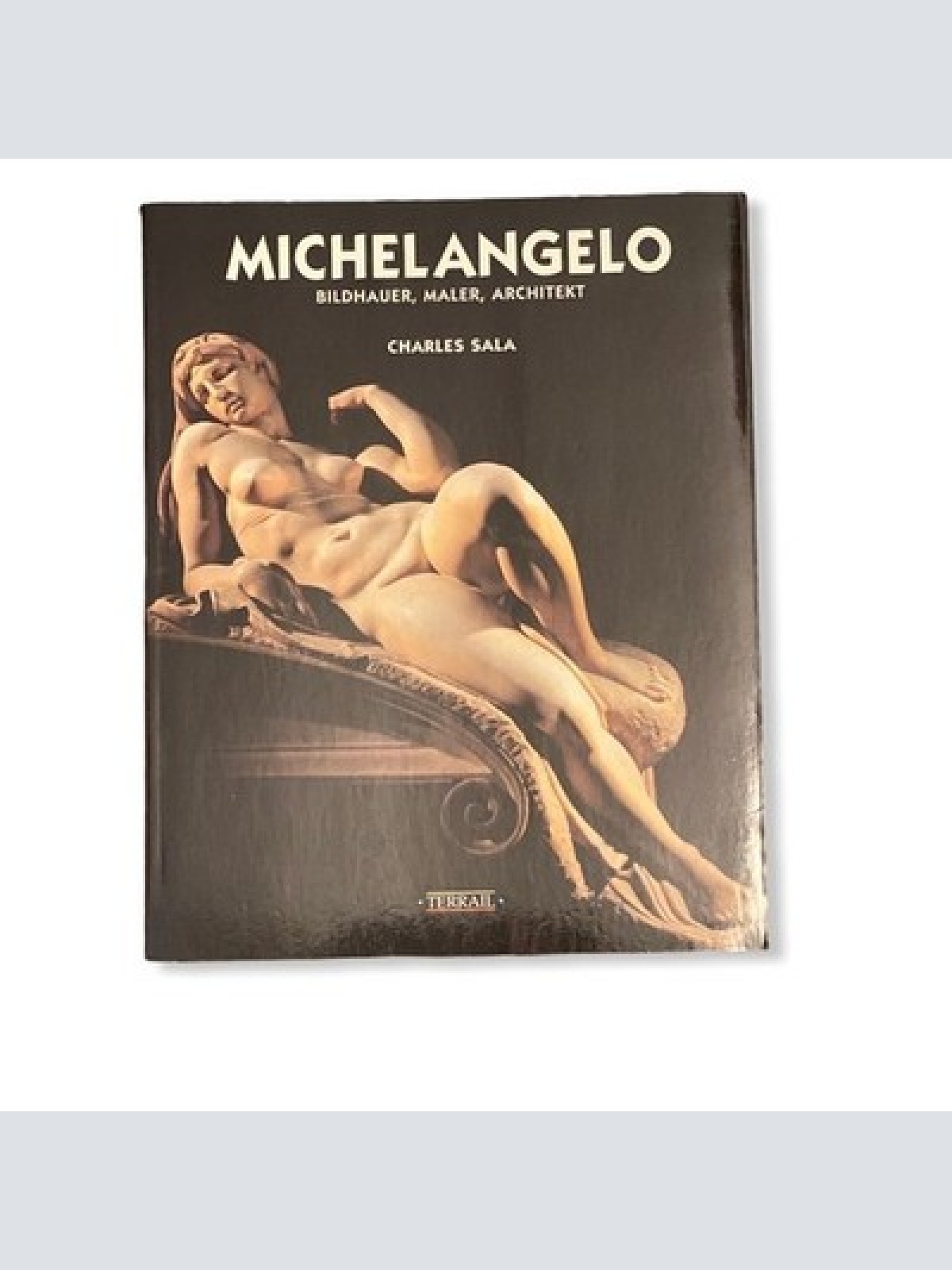 52 Charles Sala MICHELANGELO BILDHAUER MALER ARCHITEKT +Abb