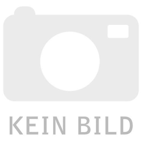 Hefte für Gegenwartskunst SPRINGERIN: Band XI, Heft 3: Herbst 2005 +Abb