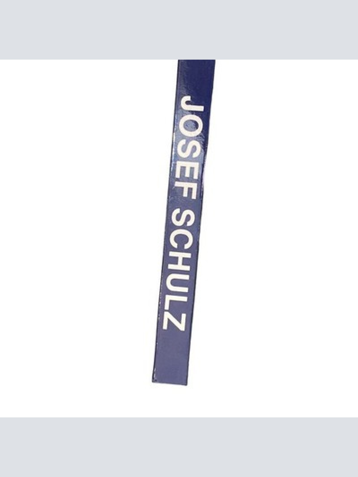 4561 Albin Rohrmoser DER MALER JOSEF SCHULZ 1893-1973 HC +Abb