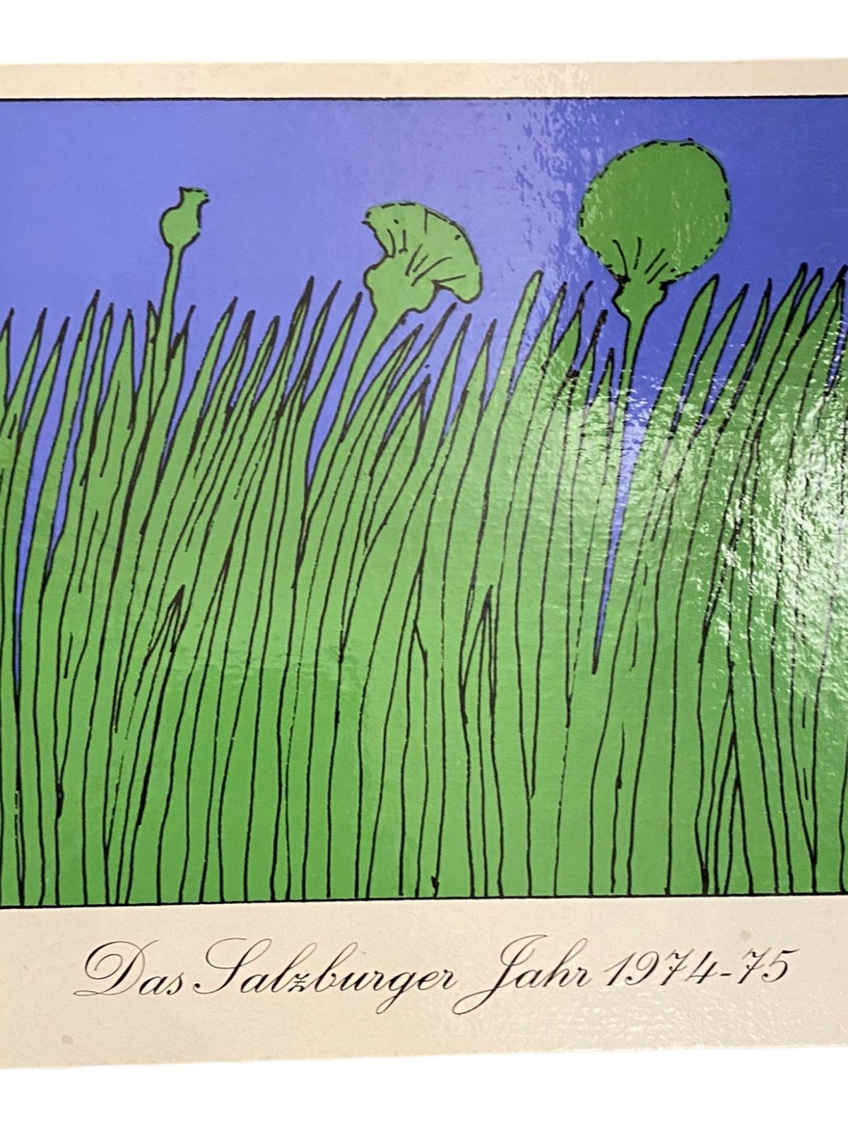 1139 DAS SALZBURGER JAHR 1967 - 1968 HC KULTURCHRONIKEN