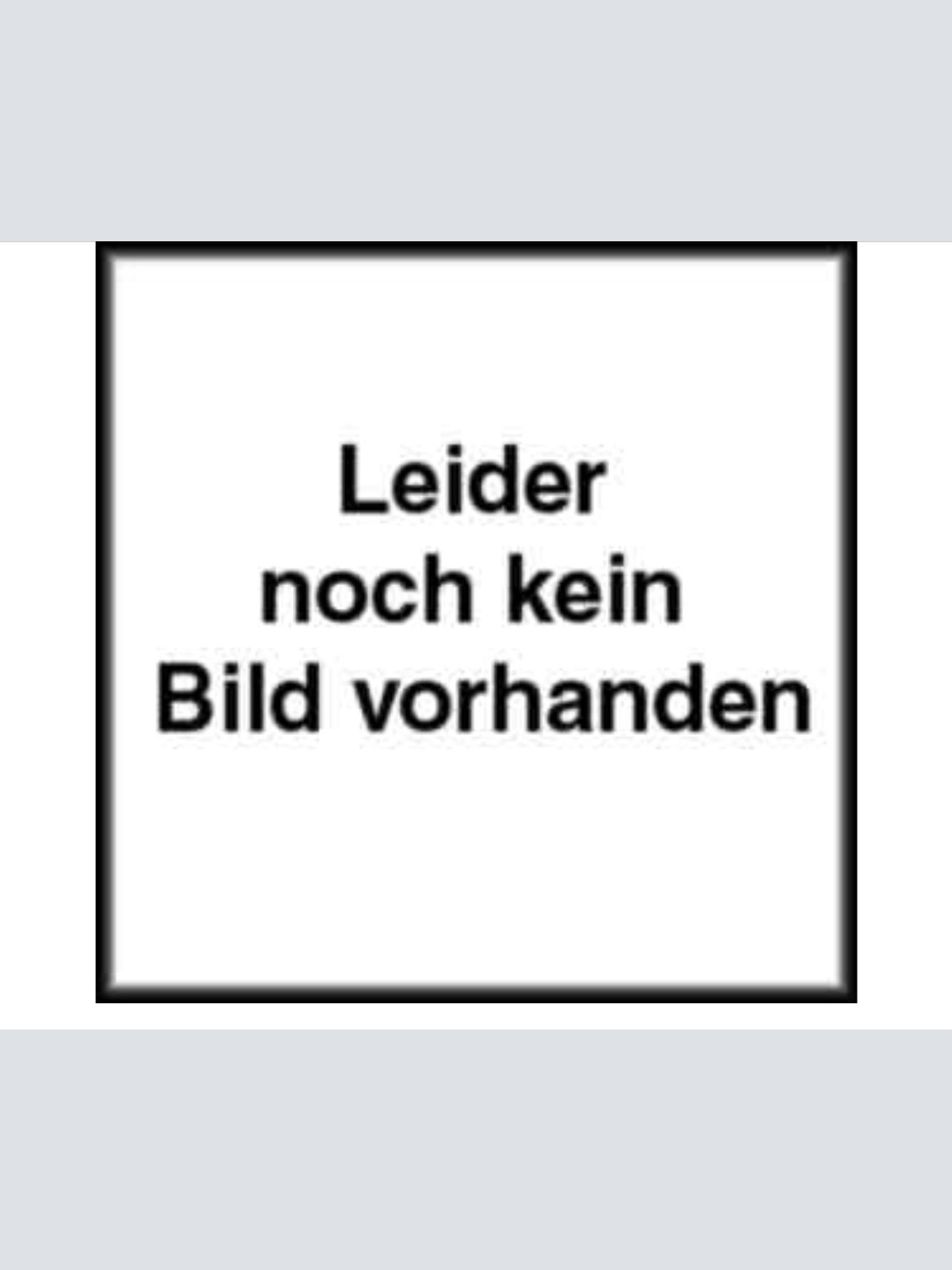 1119 REMBRANDT VAN RIJN, ALBRECHT DÜRER, LEONARDO DA VINCI HC