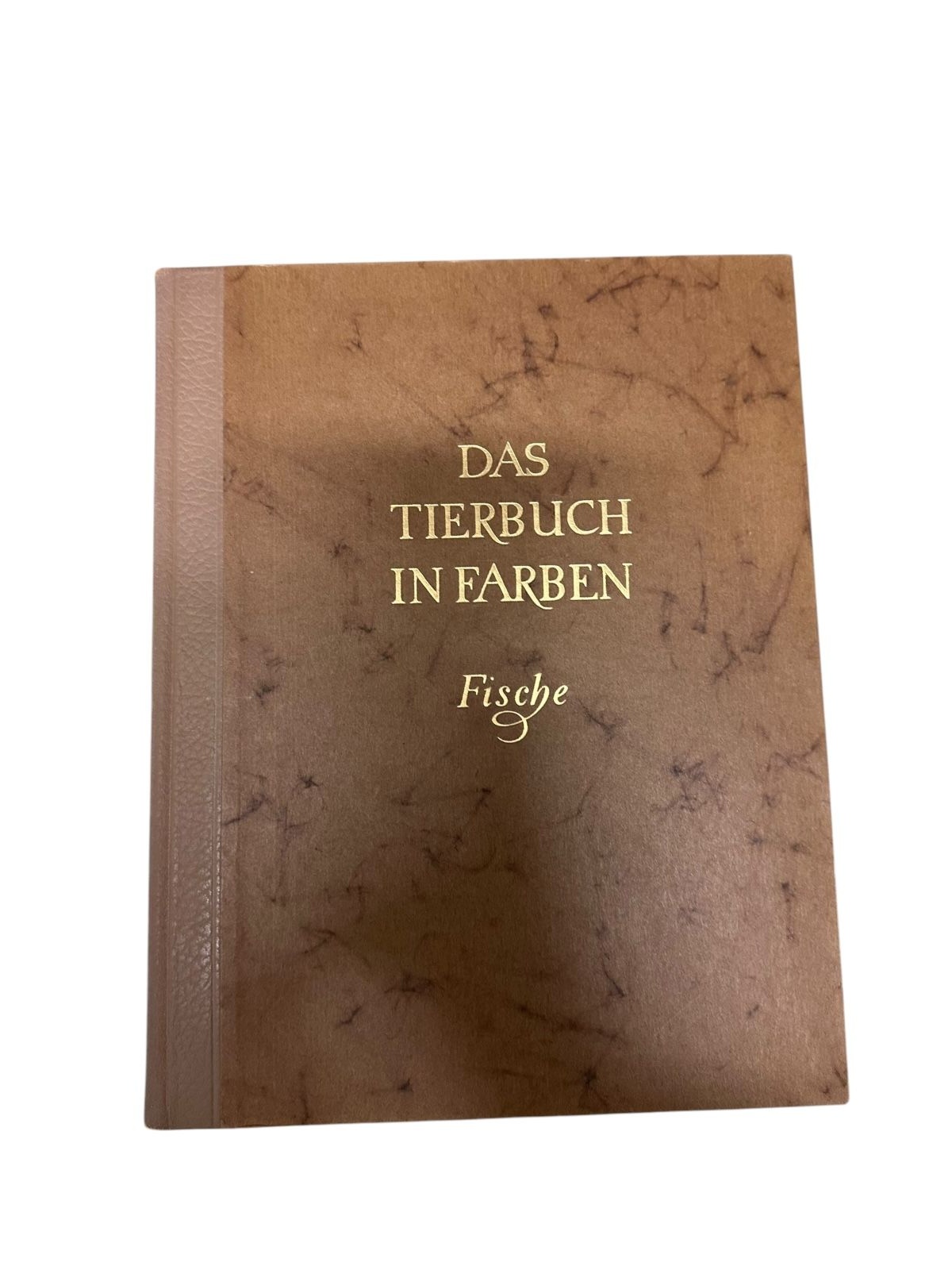 9075 Earl Stannard Herald DAS TIERBUCH IN FARBEN. FISCHE HC +Abb