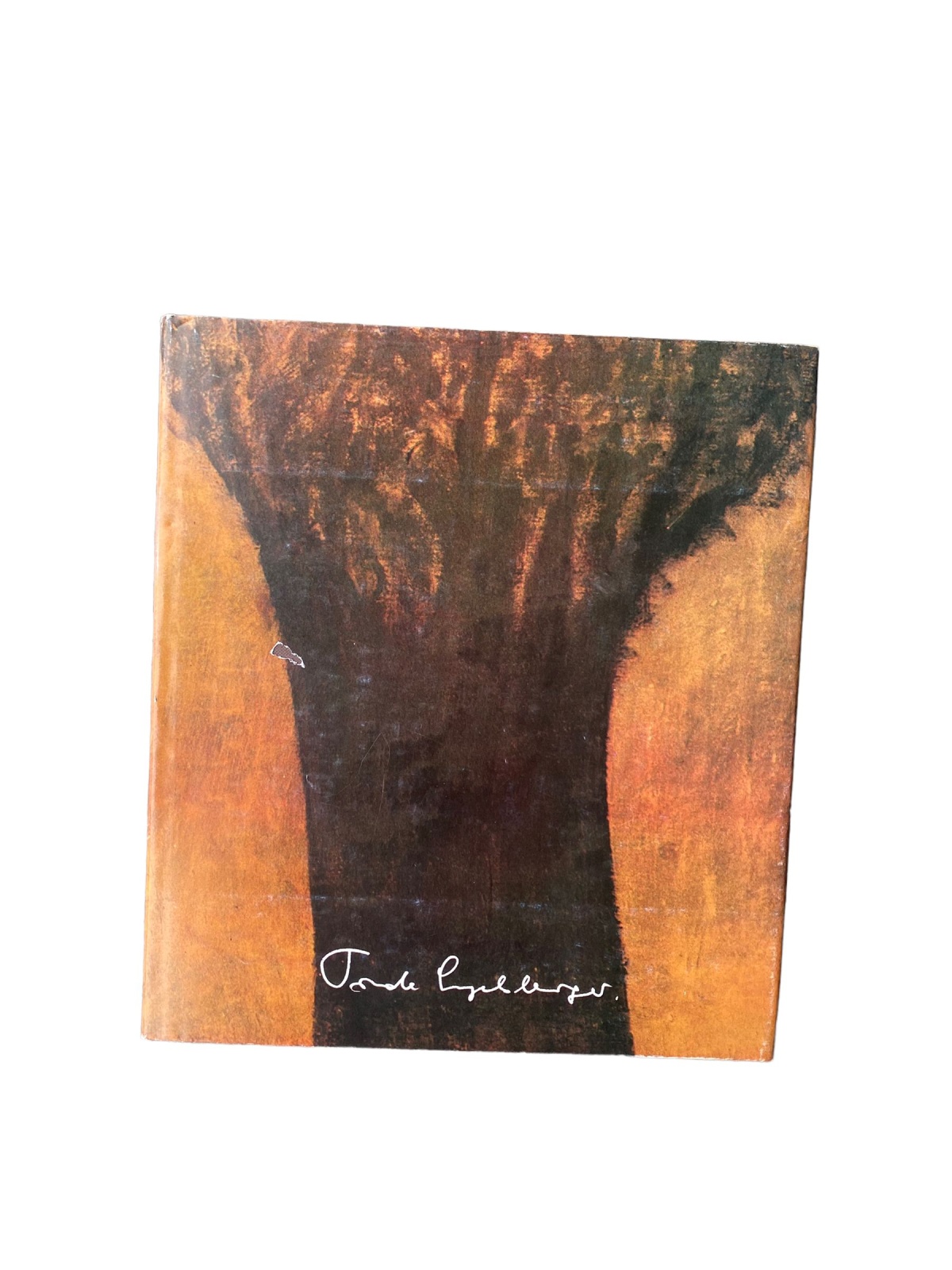 4496 Gerhard Amanshauser TRUDE ENGELSBERGER. BILDER HC +Abb