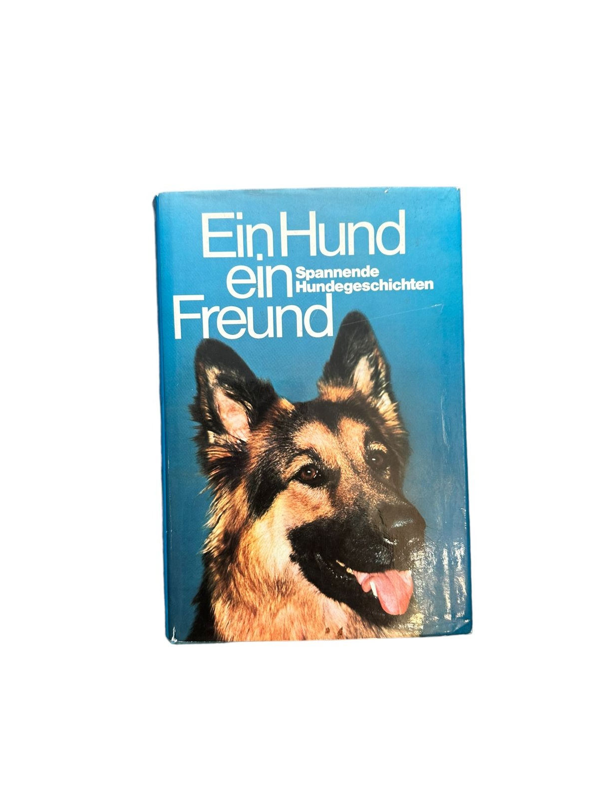 6978 EIN HUND, EIN FREUND: SPANNENDE HUNDEGESCHICHTEN HC +Abb