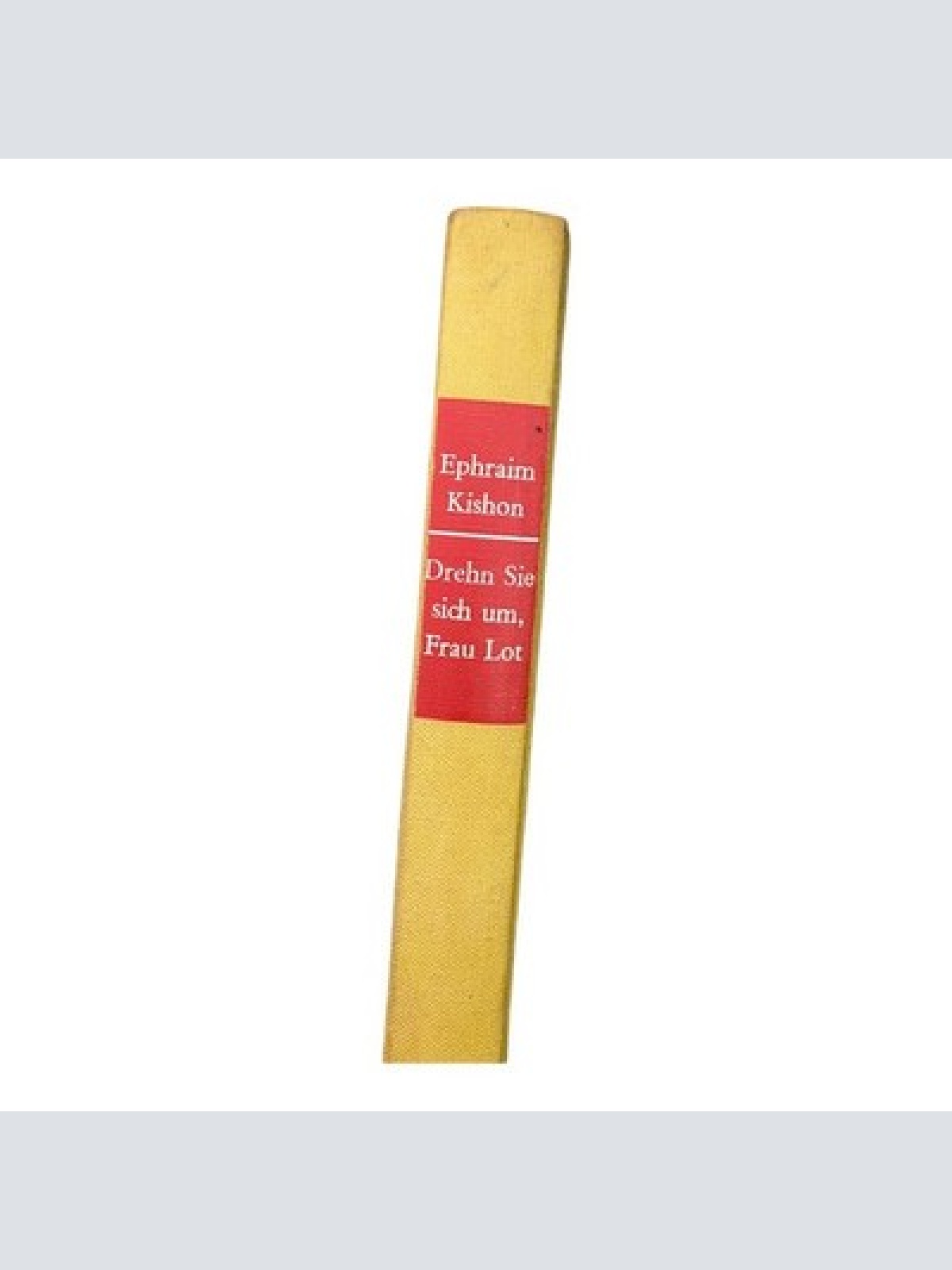 1380 Ephraim Kishon DREHN SIE SICH UM, FRAU LOT! HC ROMAN