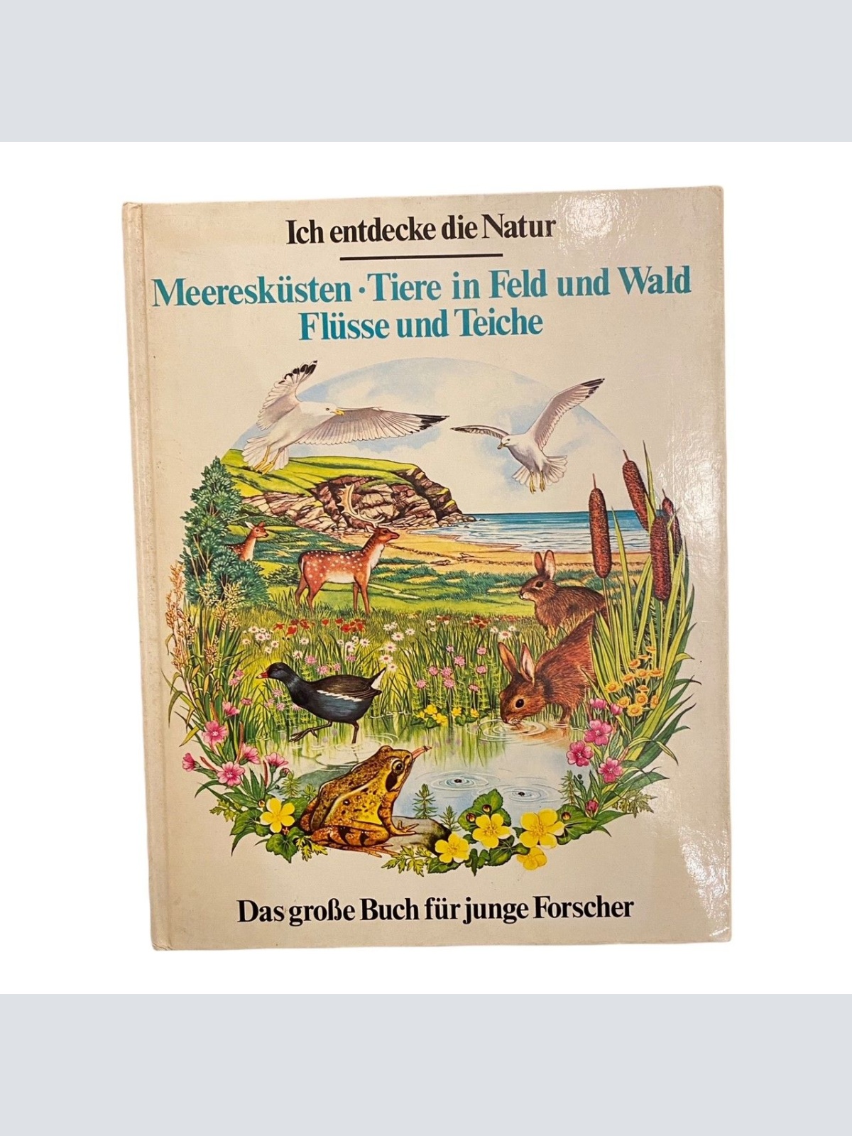 1770 Sue Swallow MEERESKÜSTEN, TIERE IN FELD UND WALD, FLÜSSE UND TEICHE HC