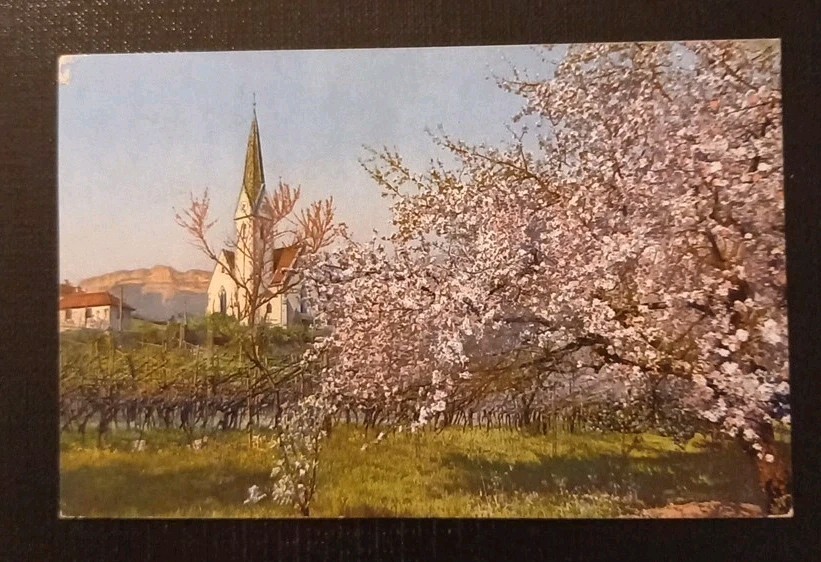 Obstblüte In Tirol Mit Kirche Gr1  5551 J